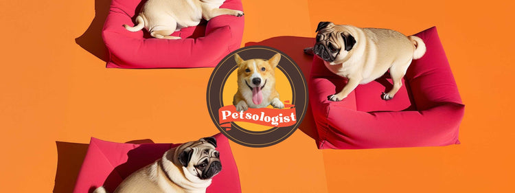 Petsologist