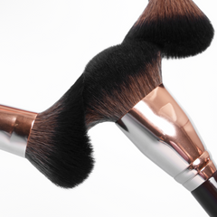 Dala Face Architect Blushed and Bronzed Brush Set