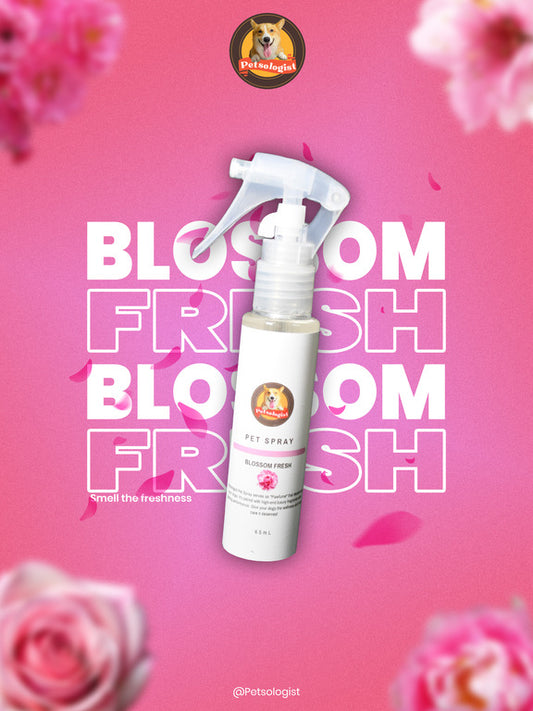Petsologist Pet Spray Blossom Fresh 65ml